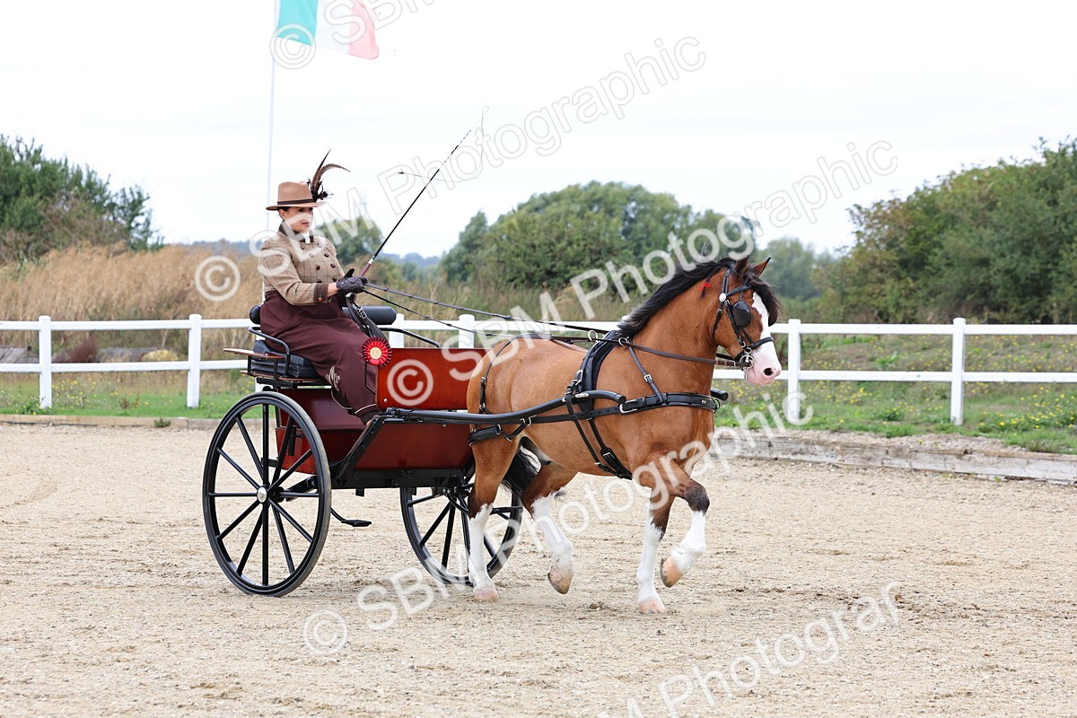 SBM_000337 - Class 2 - Exercise Vehicle 13.2hh & Under