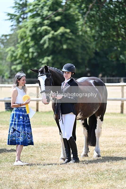 WJ7_2039 - Class 4a Prettiest Mare 14.2hh and over hand