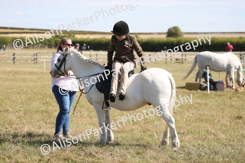 20260906-2268 - Class 16 - Family Pony
