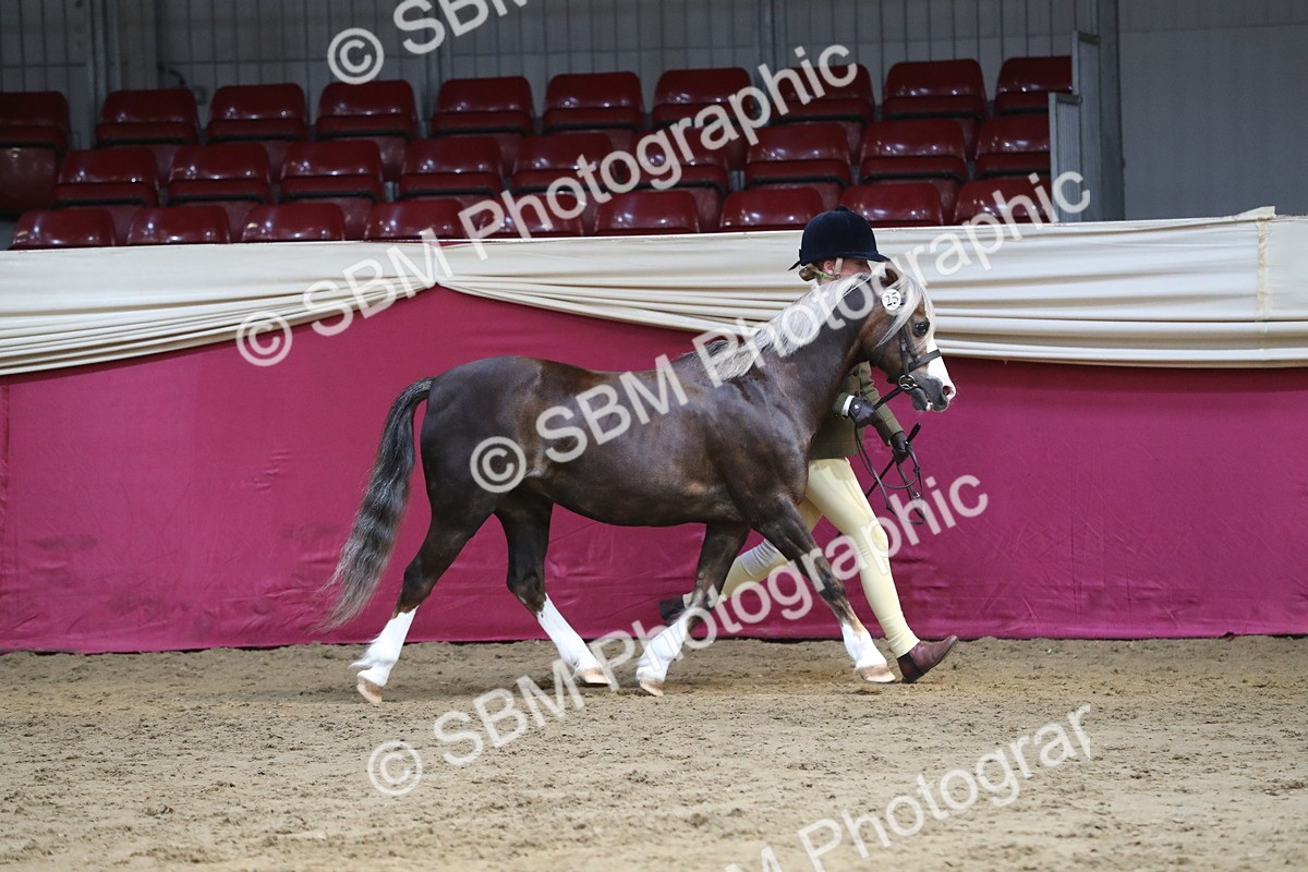 SBM_06531 - Regional IH Champ