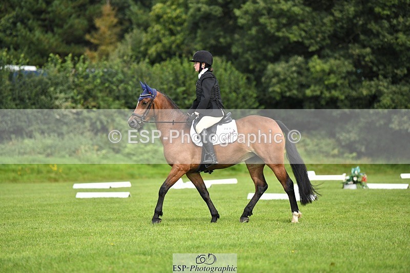 230826-103350-15519 - Sections C & D 10 to End