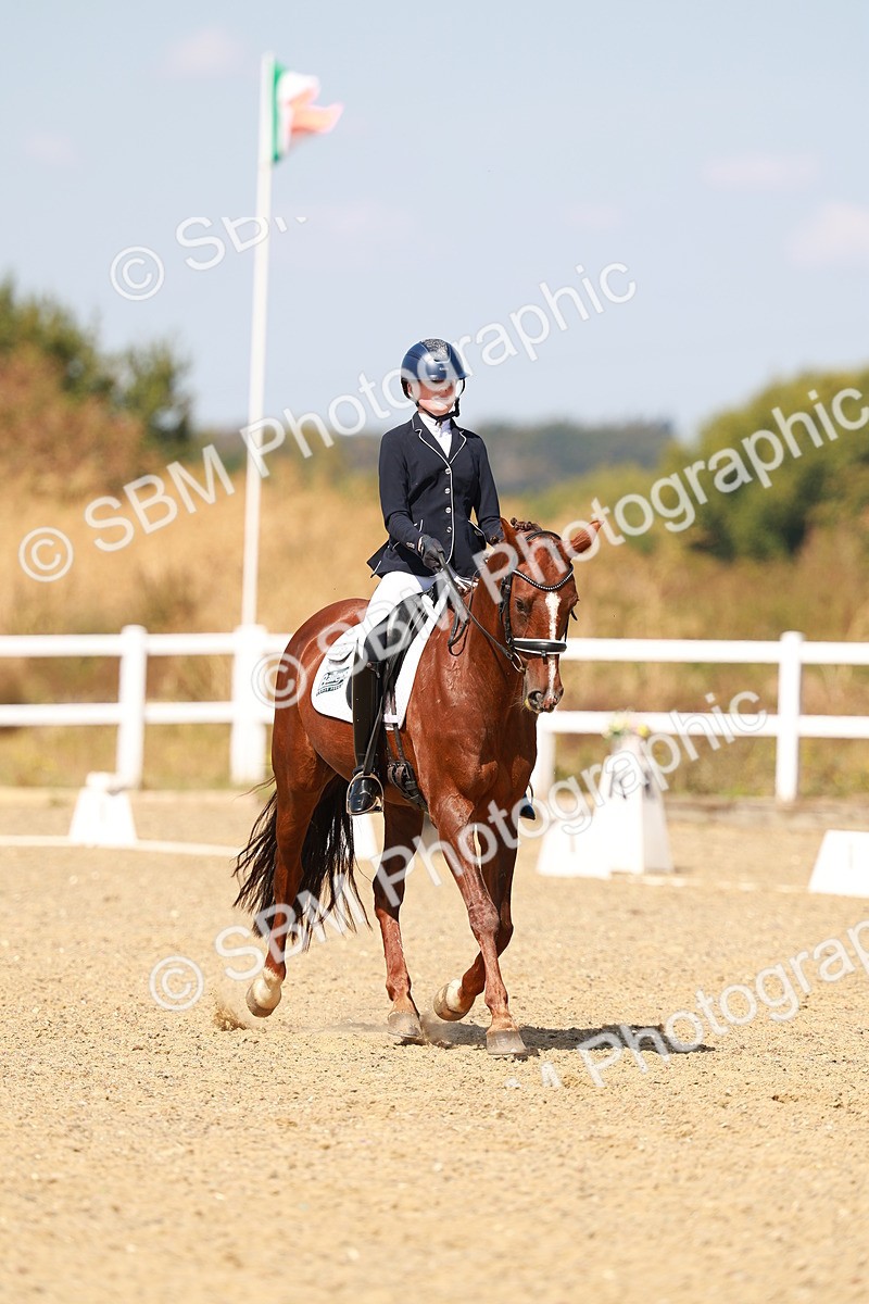 SBM_018303 - Class 9 - N5 Bronze 11.57.13.07