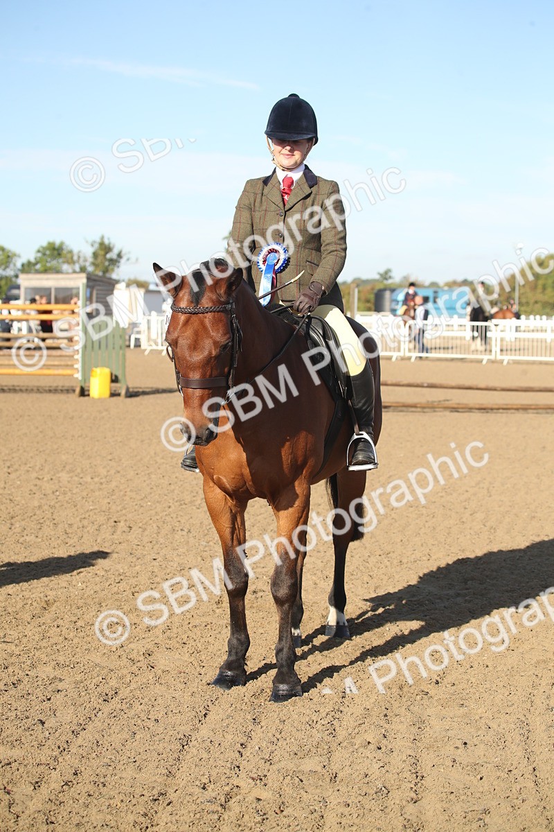 SBM_11582 - Class 502 - Riding Club Horse