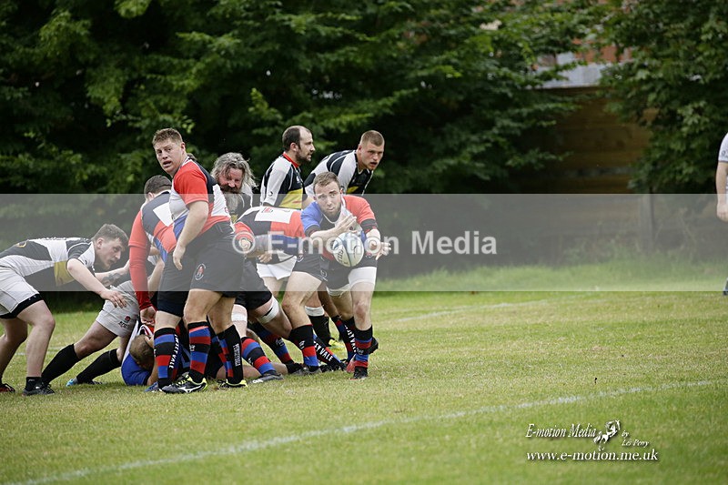 RU 250921 237 - Devizes II RFC V Pewsey Vale RFC 25/09/21