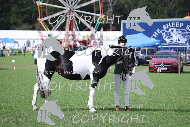 APP_2586 - Class 9 Veterans in hand