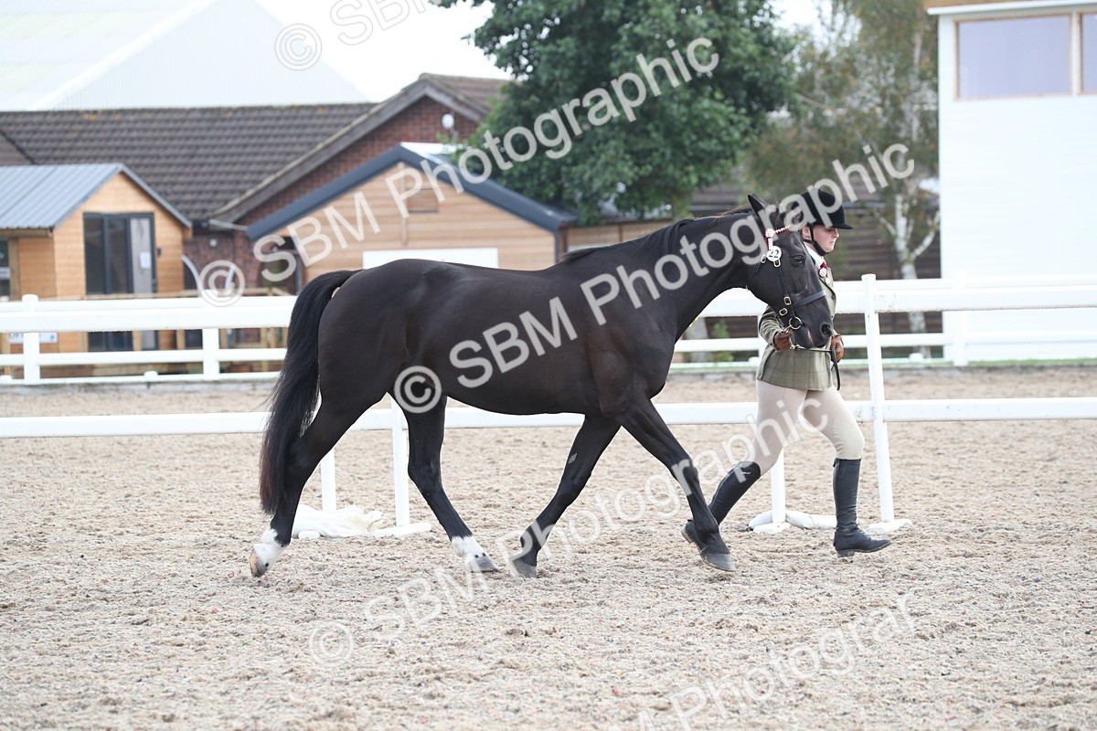 SBM_23090 - Class 605 - 2025 Area - IH Veteran