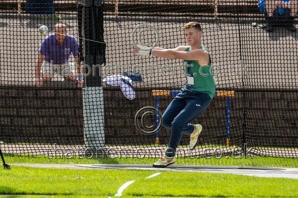 SIAB23-912821 - Field Male Set One