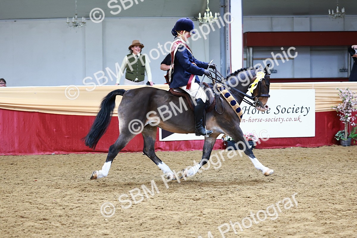 SBM_23562 - Class 904 - Supreme Final - Ridden Diamond