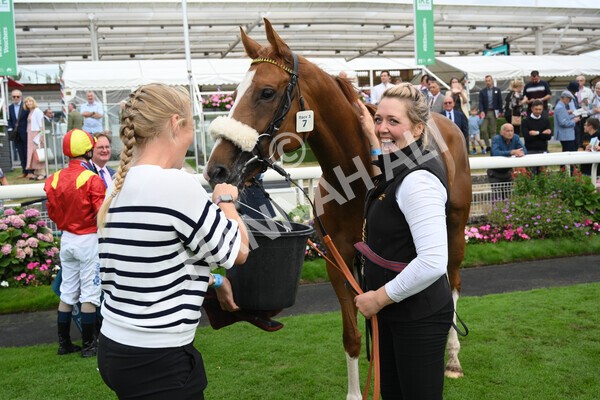 yr04092022r3-54 - Race 3 2.55pm The Elevator Company Garrowby Stakes