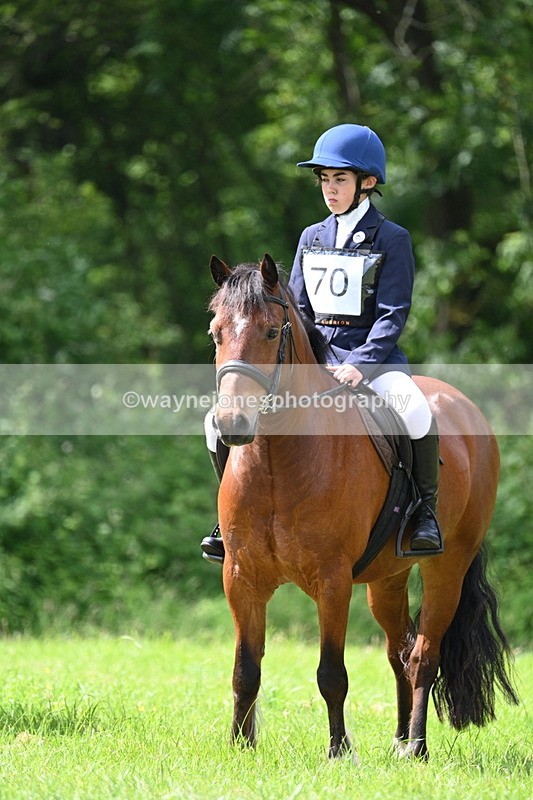 WJ7_1338 - Class 11 Condition & Turnout