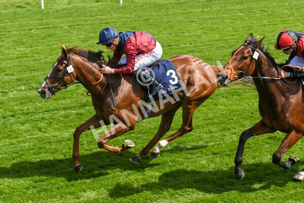 yr12052022r2-27 - Race 2 2.25pm Al Basti Equiworld Dubai Middleton Fillies' Stakes