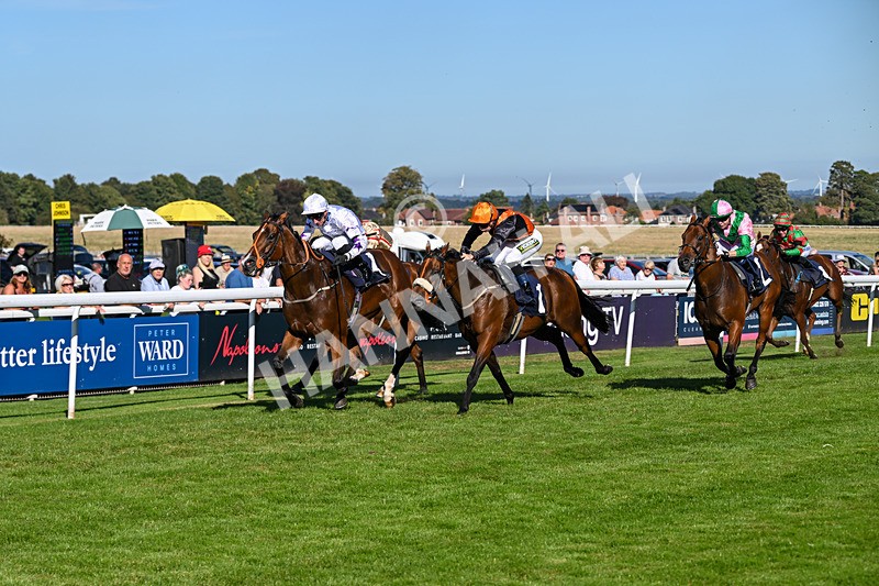 220926-Race 4-Toca Madera-4010 - Race 4 3.15pm Eddie And Violet Smith Conditions Stakes