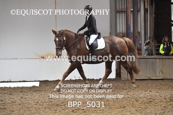 BPP_5031 - INTRO TEST 3