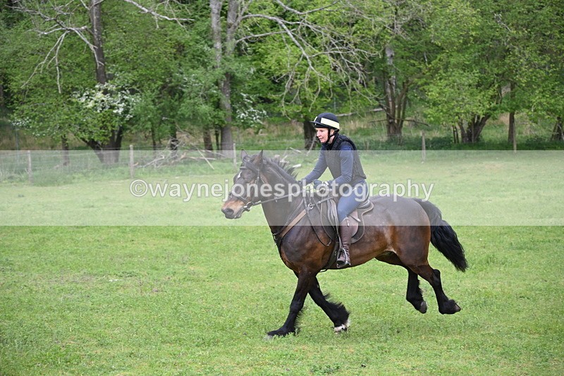 WJ6_2696 - A camera