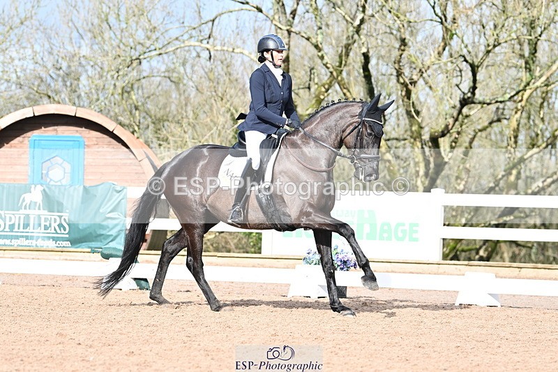 240218A-115850-06946 - 204-Elder.Klatzko-Dynasty.Hit