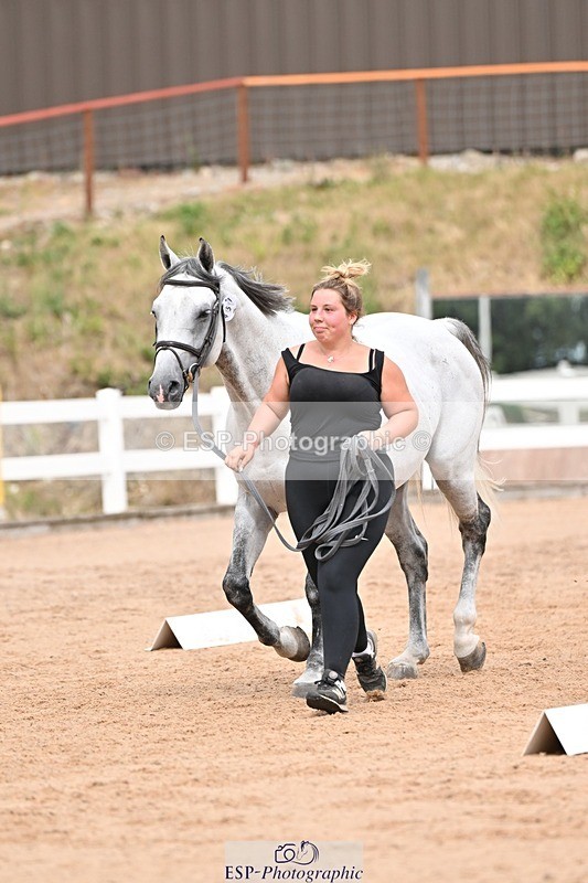 250716-162103-02588 - Trot Up 3.30 to 4.30