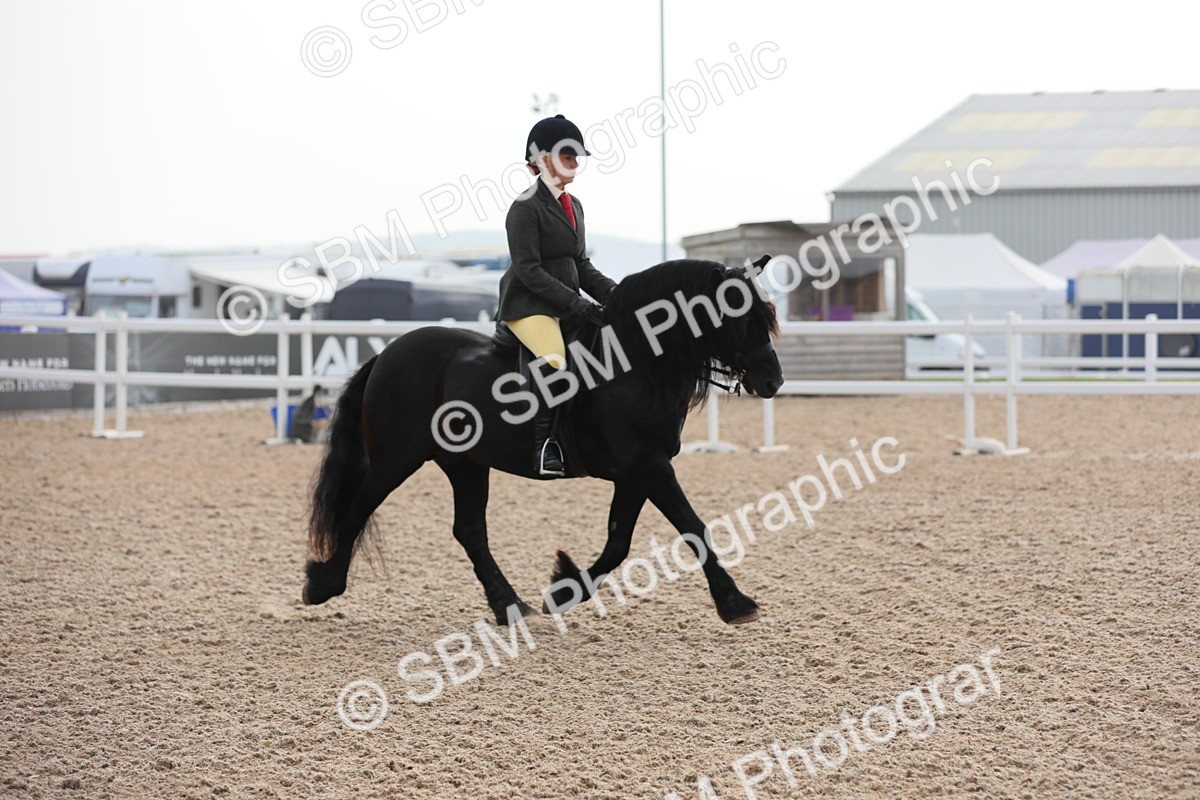 SBM_10040 - Class 302 Ridden M&M -Large Breeds
