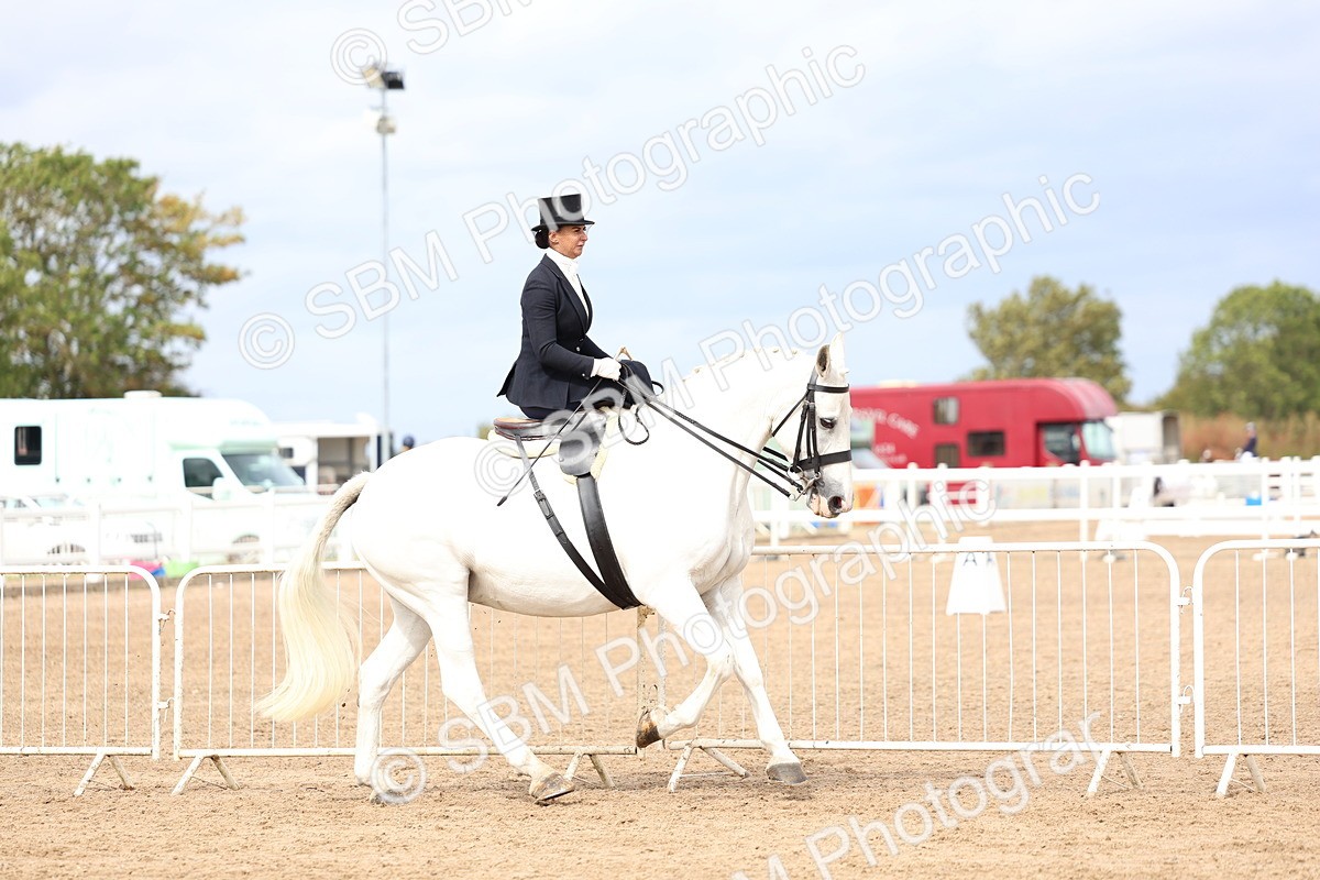 SBM_03412 - Class 24 - SSA Concours d'elegance (any age)