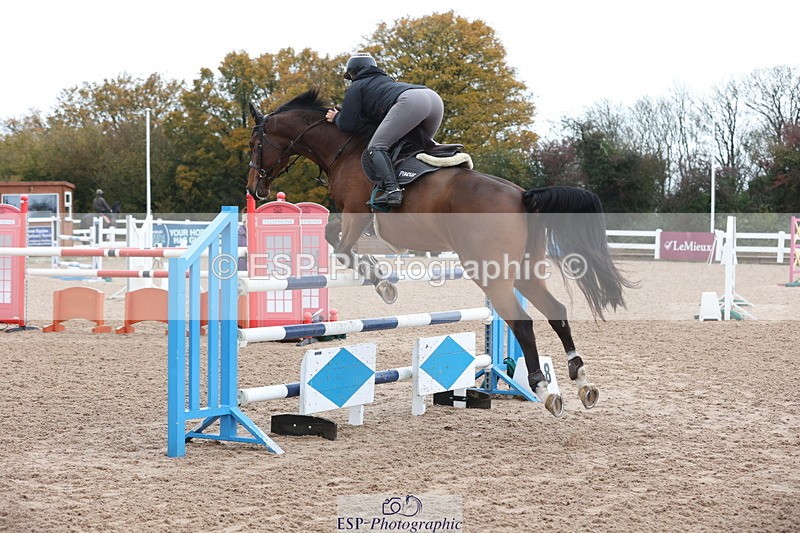 231112A-140806-04812 - Cls 20 Newcomers & 1.10m Open