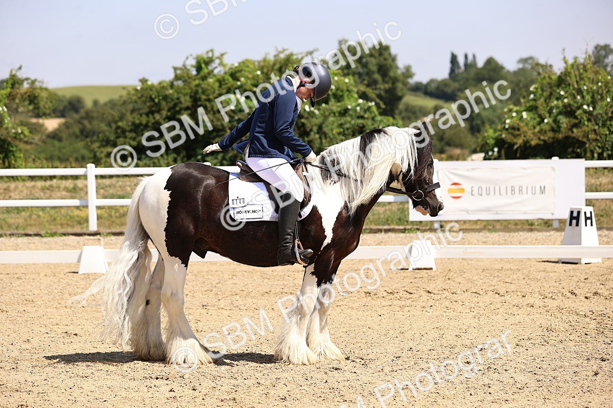 SBM_003758 - Intro 2