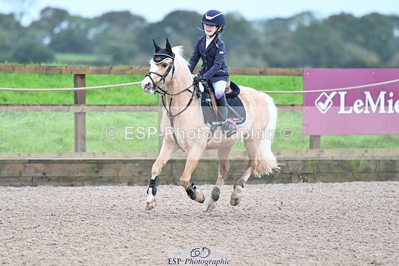 231029A-090552-02280 - 50cm Clear Round