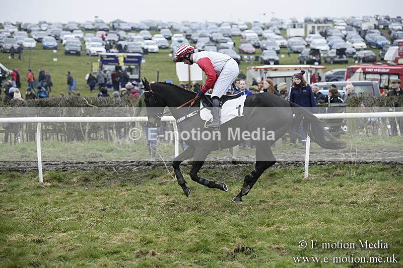 PtP 020418 -18 - Old Berks Point-to-Point Races Easter Monday 02/04/18