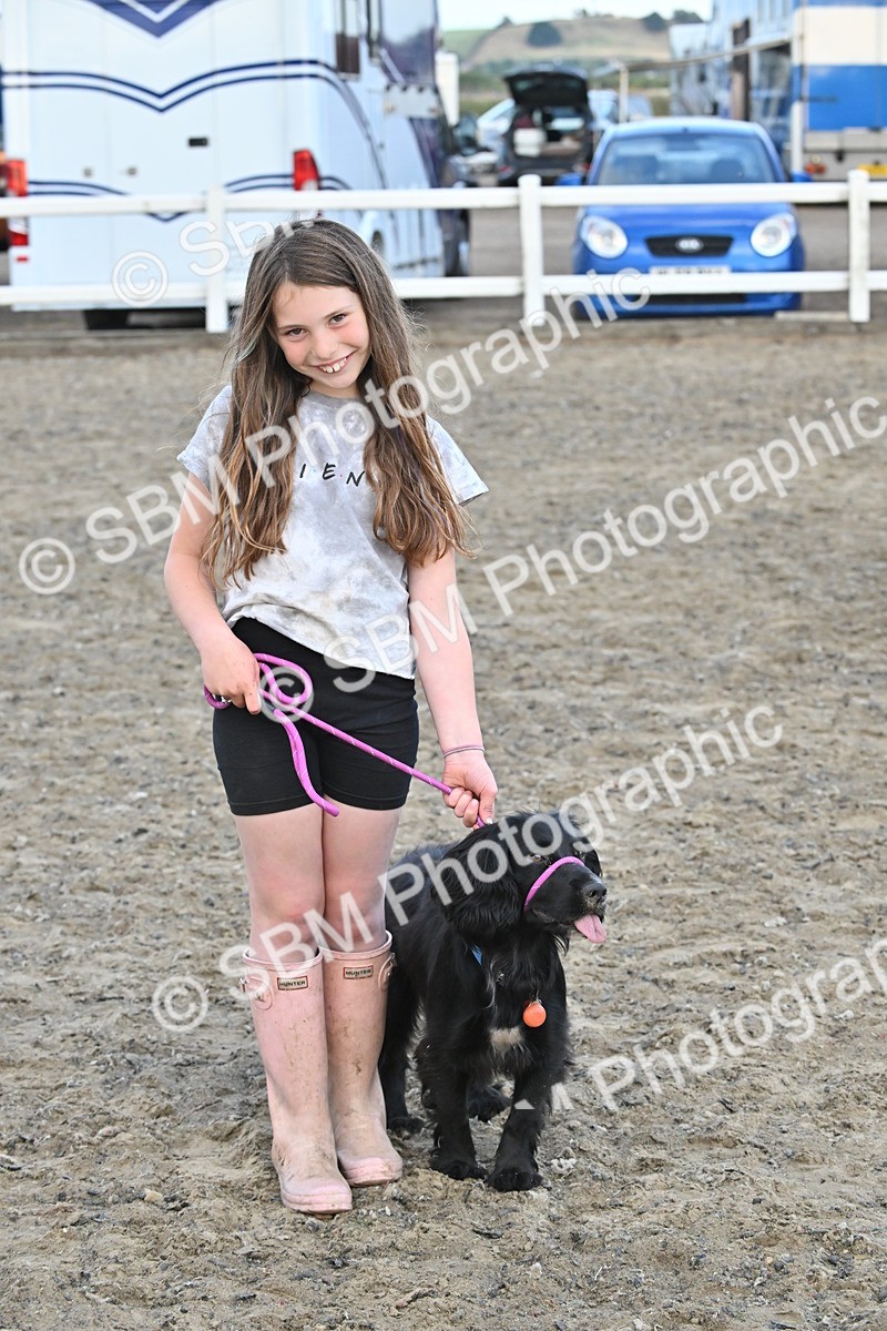 SBM_09540 - Lorry Dogs