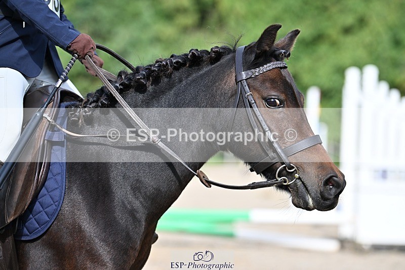 230824-165228-06187 - Round 1 Assisted 16.20 to End