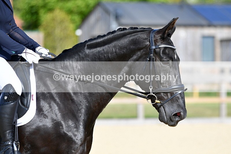 WJ5_8102 - Time 17:14 to 17:23