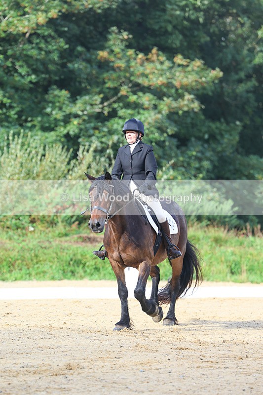 3E7A1878 - Class 1: Intro 4 2024 section A