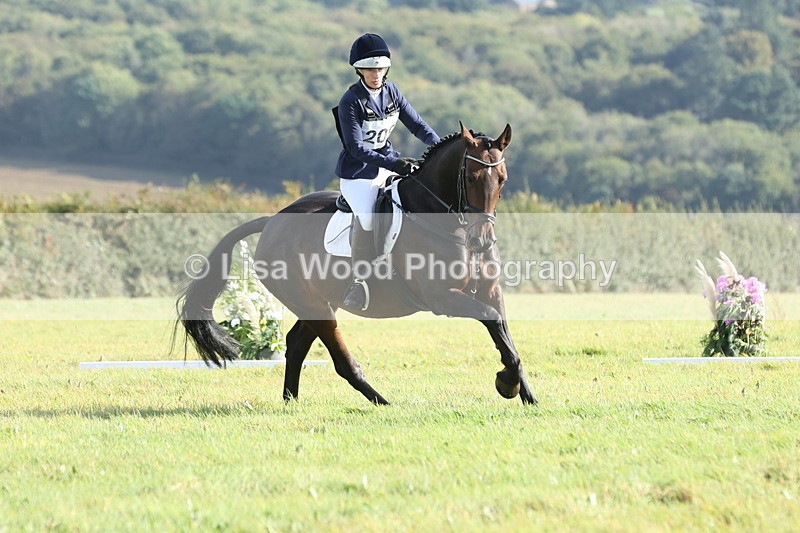JPP_8006 - Class 2A: Trekenning Open: Dressage