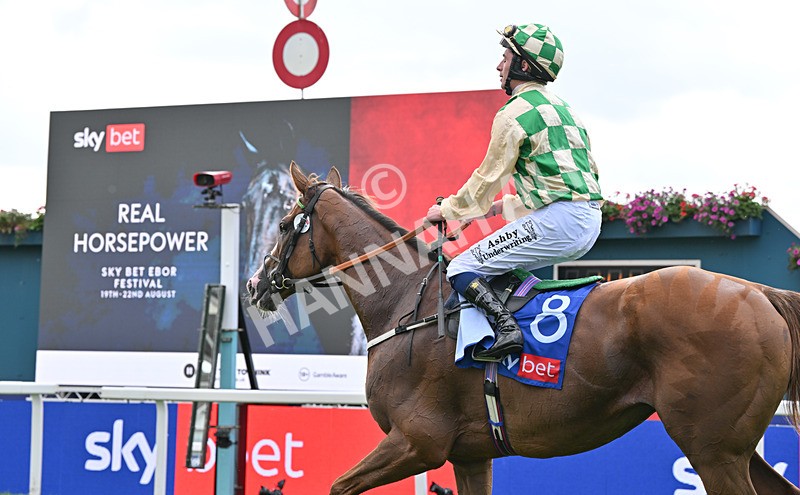 220826-150 Daiquiri Bay - Race 4 15.35pm Sky Bet Ebor Handicap