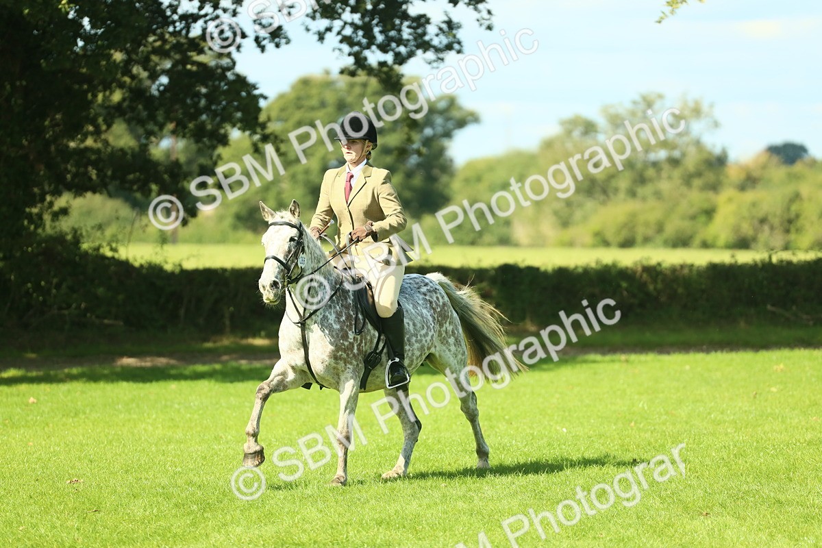 SBM_39253 - S29 - Novice & Newcomers Working Hunter Pony