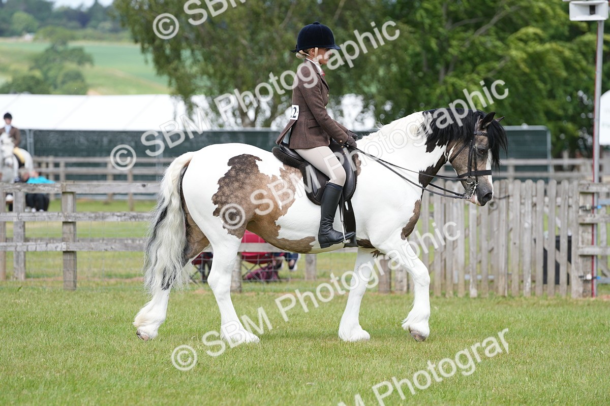 SBM_17234 - Class 107-108 - LIHS BSPS Performance Coloured Horse Pony