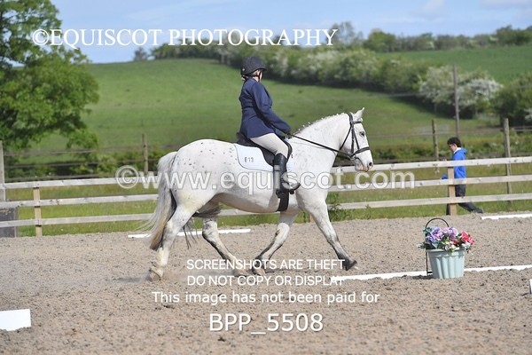 BPP_5508 - 13 J MCLEISH