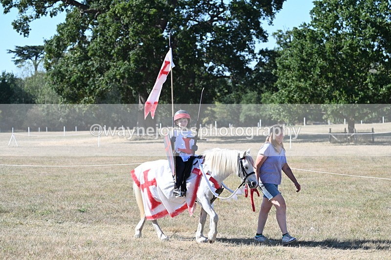 WJ7_2436 - Class 45 Fancy Dress (My Fav)