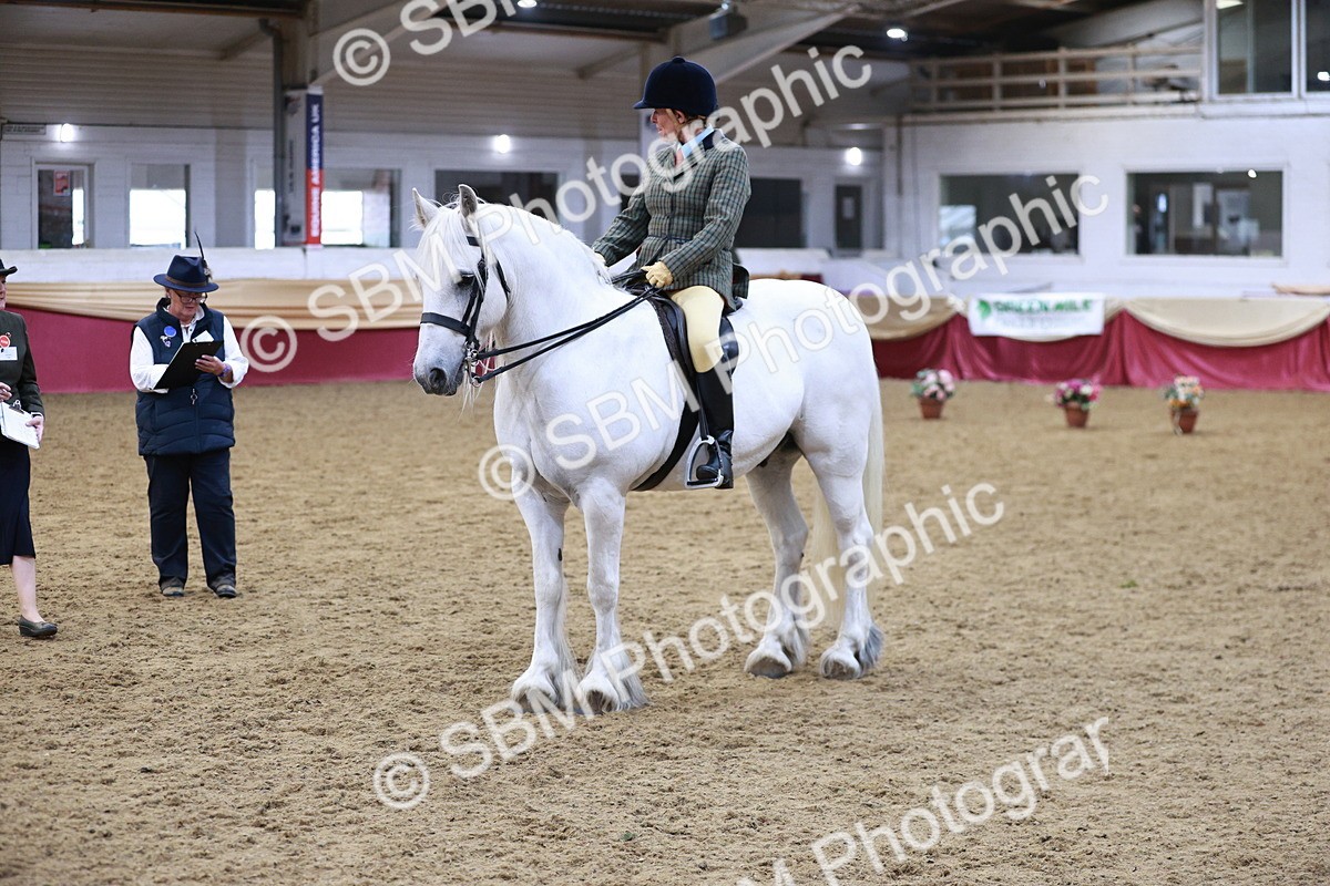 SBM_08238 - Class 11R - Regional Ridden Veteran