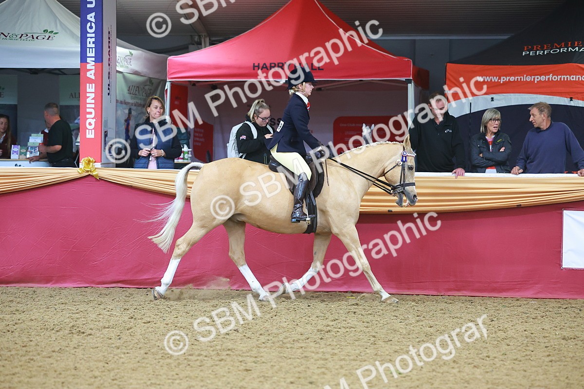 SBM_09636 - Class 102 - HOYS Veteran Qualifier - Ridden Veteran