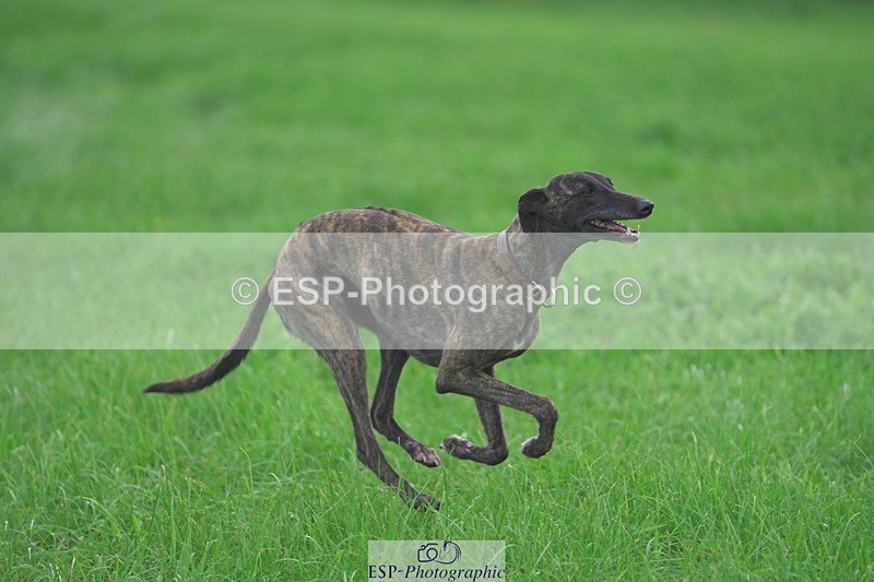 230923A-115806-01049 - 90 XC Start to 13.30