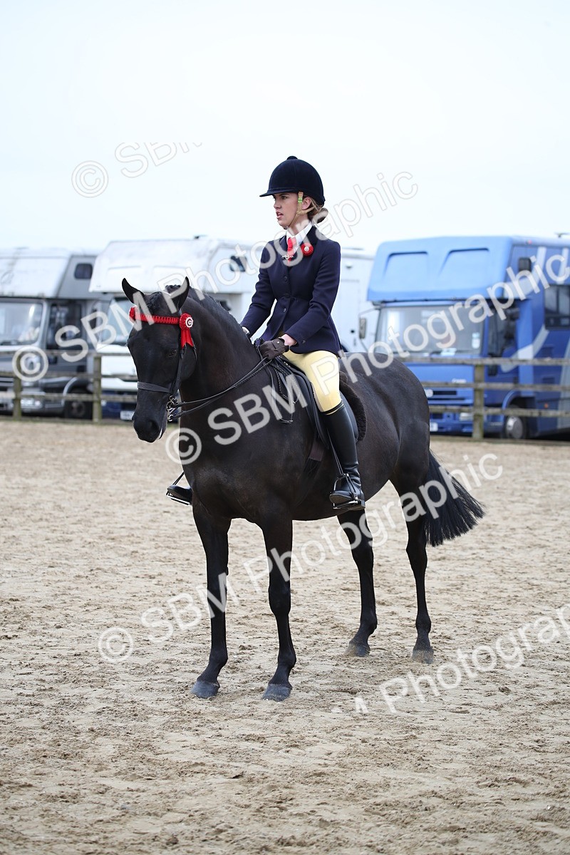 SBM_004717 - Class 5-9 - NPS In Hand-Show Hunter-Intermediate Ridden Inc Ridden Championship