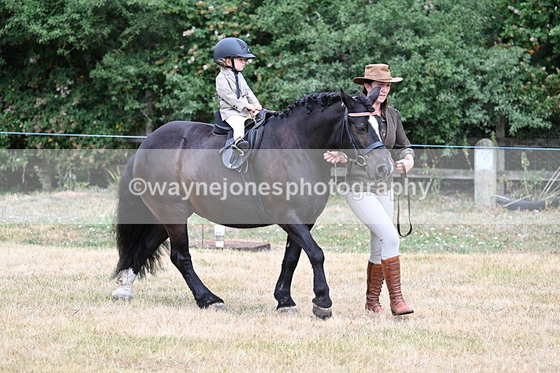 WJ7_9855 - Class 1 Lead Rein Pony