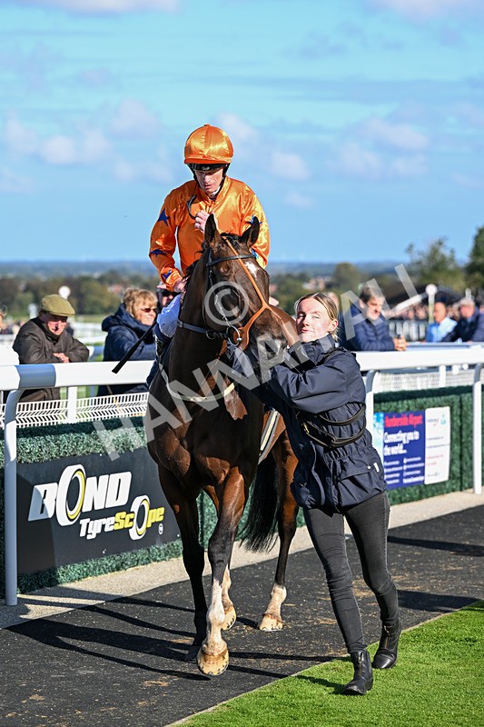 230925-Race 4-Elegant Erin-0729 - Race 4