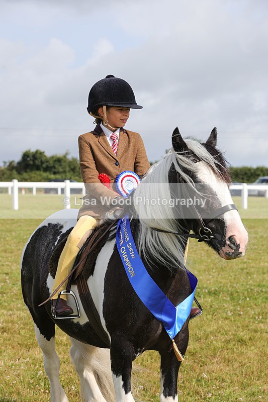 1X9A3524 - Skewbald and Piebald Ridden Championship