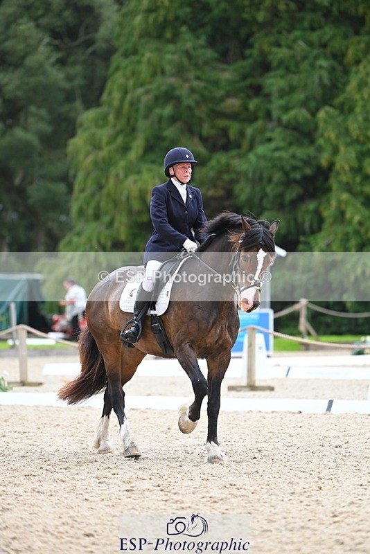 230813-140917-07686 - Cls 13 Medium Bronze 13.15 to End