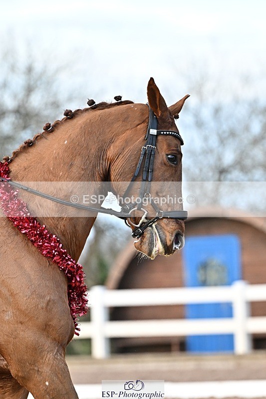 241214-150548-03096 - 137-Tyler.Bradshaw-Gijsbert