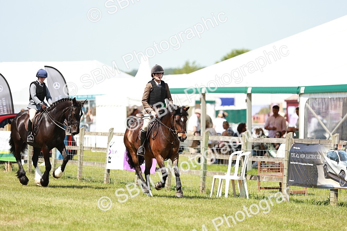 SBM_16436 - Class 110-111 - Training Stakes (70cms 80cms)