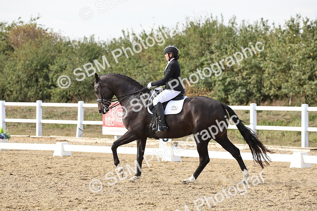 SBM_016250 - Class 10 - Advanced Medium 5