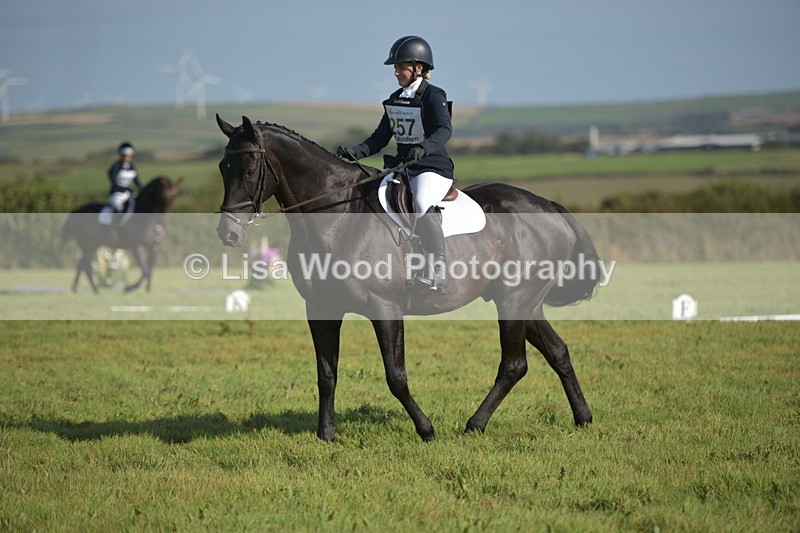 RAY_7465 - Class 2B: Trekenning Open: Dressage