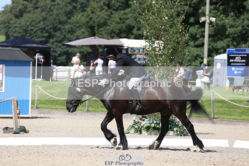 230811-120836-01008 - Cls 1 Prelim Bronze 11.10 to 12.35 break