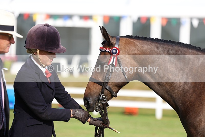 3E7A7879 - Class 1: Rising Star Small Hack/Riding Horses